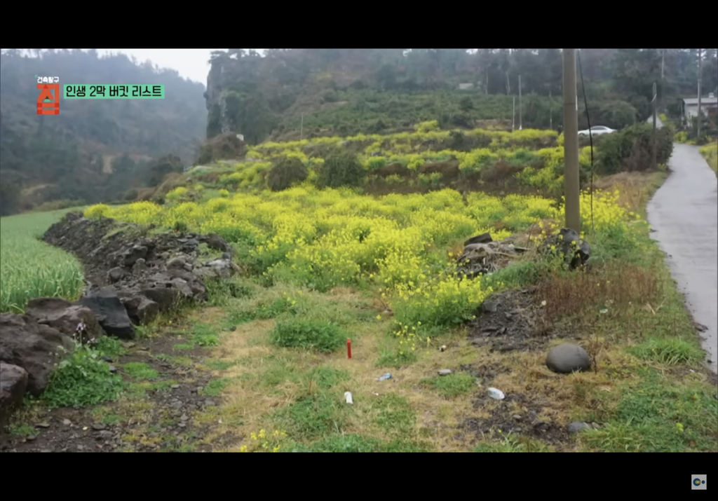제주도에 마을 만들어 모여 사는 여섯 친구들의 삶 | 인스티즈