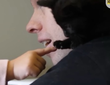 체리한테 동물은 어떻게 대해야 하는지 잘 알려준 것 같은 유투버 올리버쌤 | 인스티즈