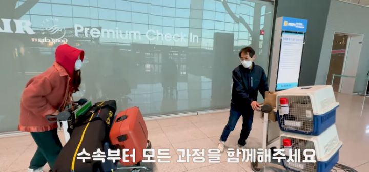 이효리 캐나다체크인보고 유기견 이동봉사 신청한 배우 엄지원 | 인스티즈