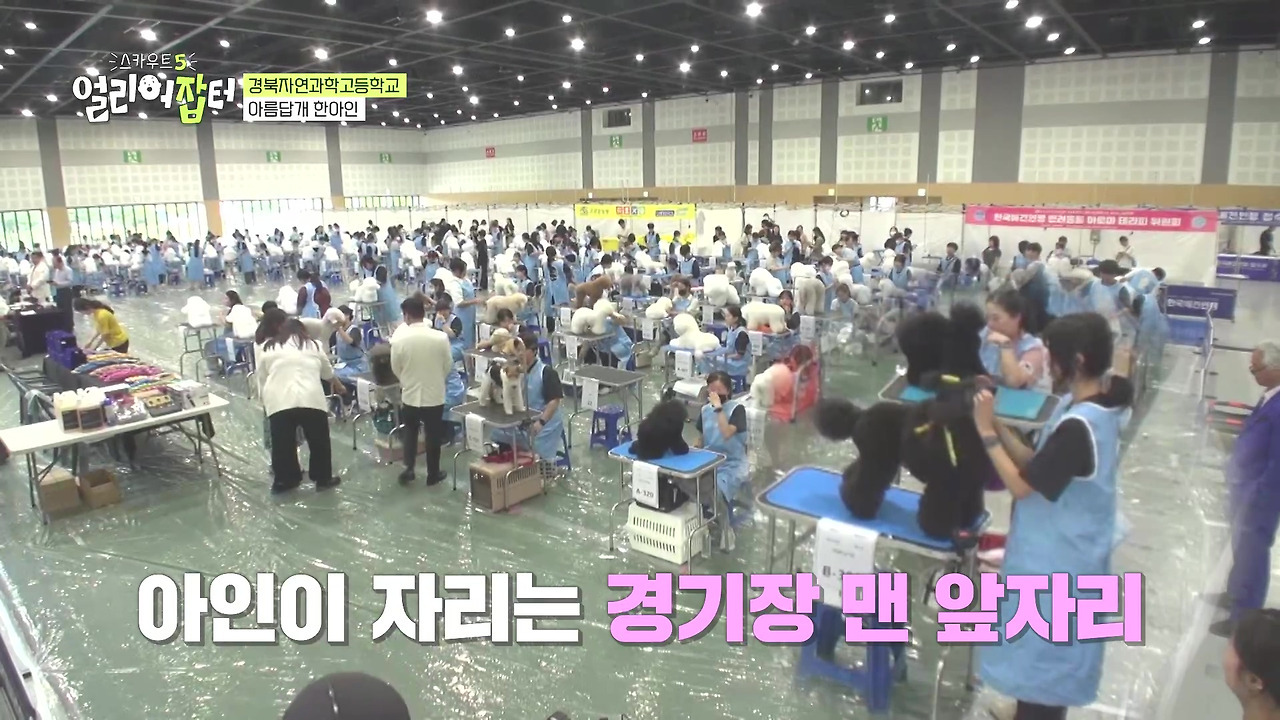 반려동물 키우는 사람들한테 도파민 터지게 만들었다는 한 고등학교 | 인스티즈