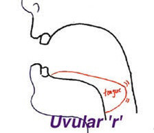 서양권 언어 배울때 진입장벽 만드는 발음 甲 | 인스티즈