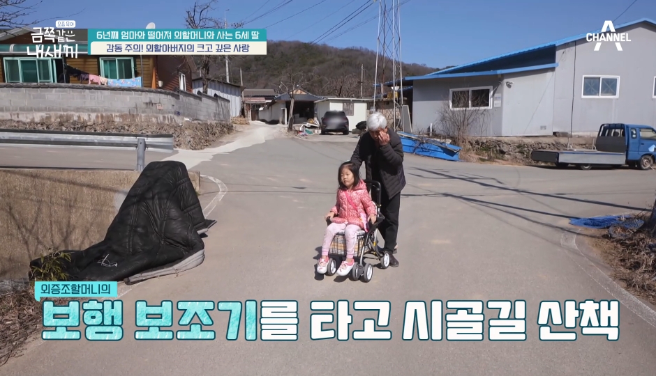 다정함이 전해지던 금쪽이와 할아버지의 산책길 | 인스티즈