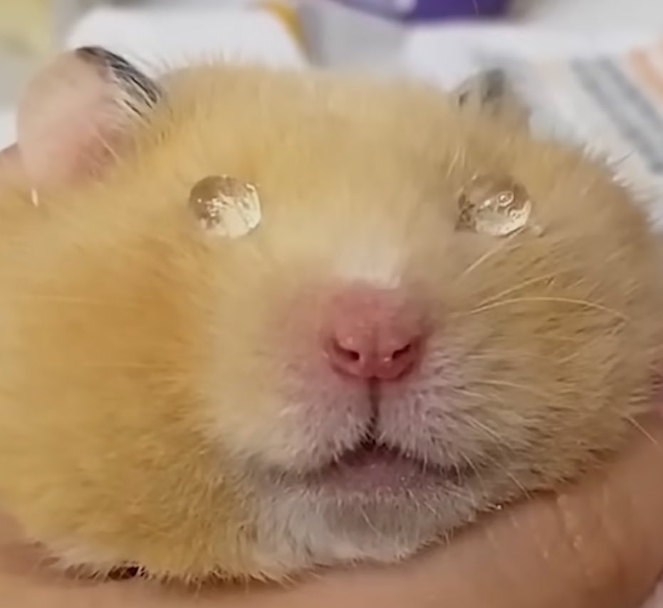 힙합보단 사랑 사랑보단 돈 | 인스티즈