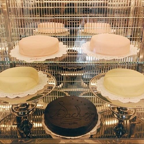 웨스 앤더슨 감독이 디자인한 카페의 인테리어 디테일.jpg | 인스티즈