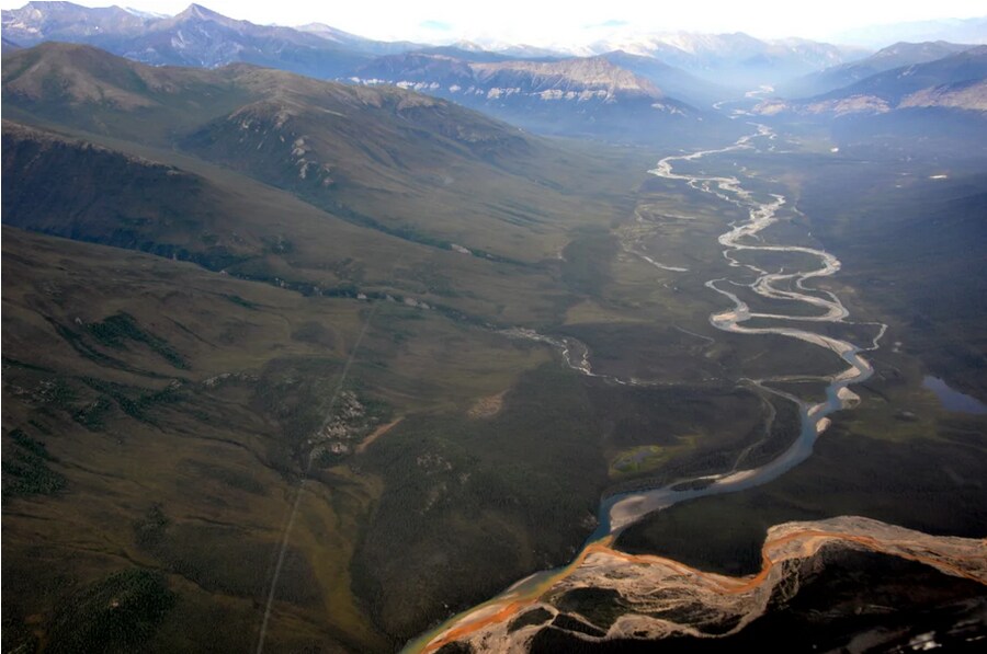 알래스카 강물 최신 근황 | 인스티즈