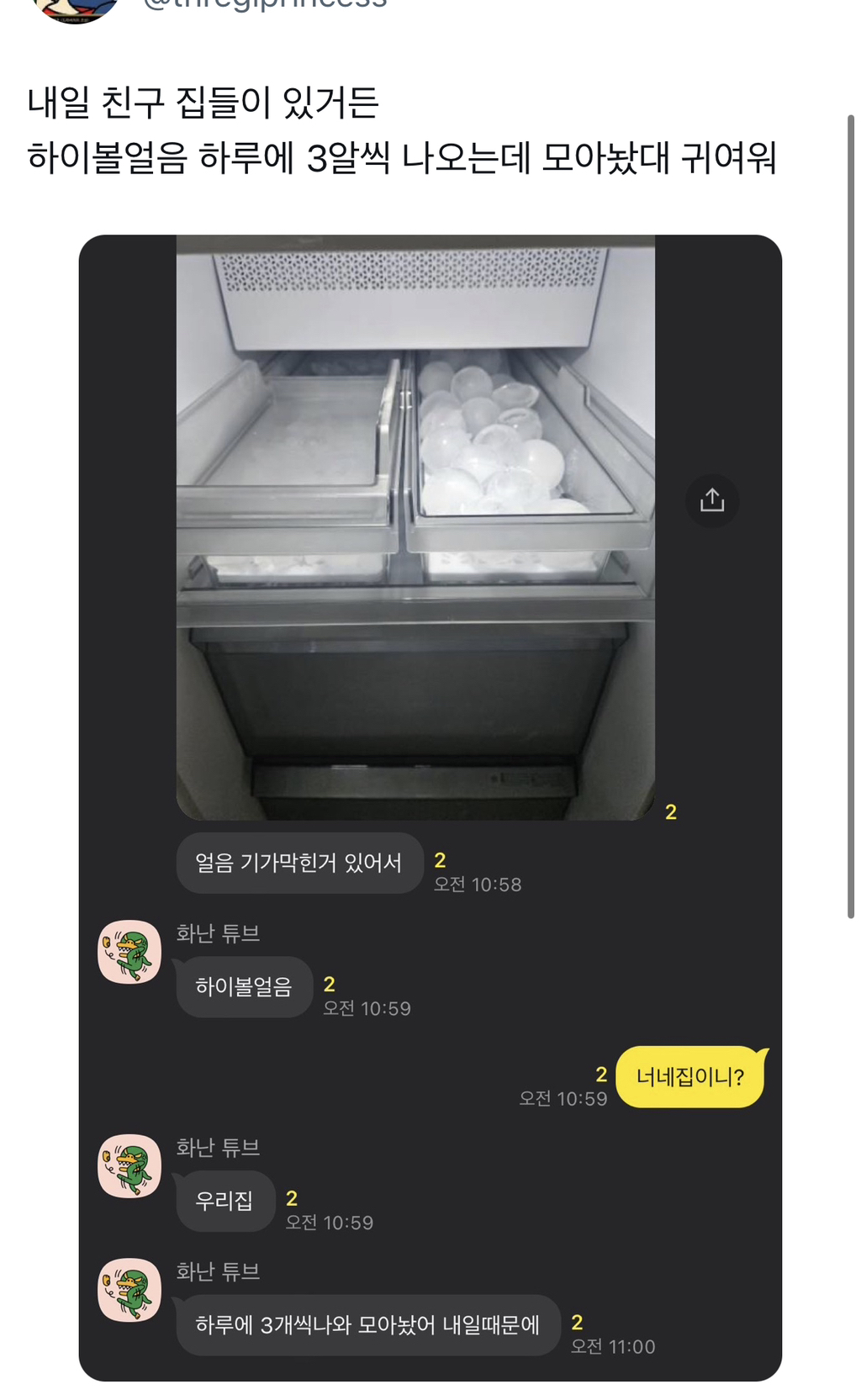 집들이 있어서 얼음 모아놓음.twt | 인스티즈
