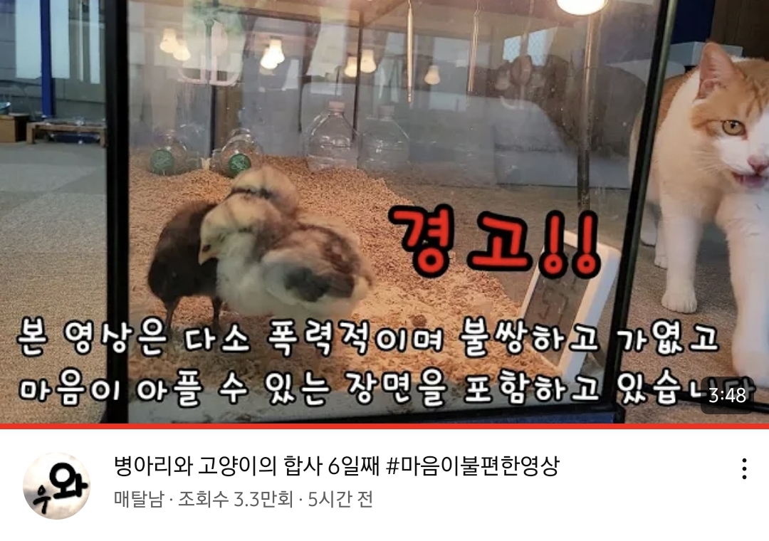 오늘자 폭력적이고 불쌍한 영상 올린 유튜버 매탈남.jpg | 인스티즈