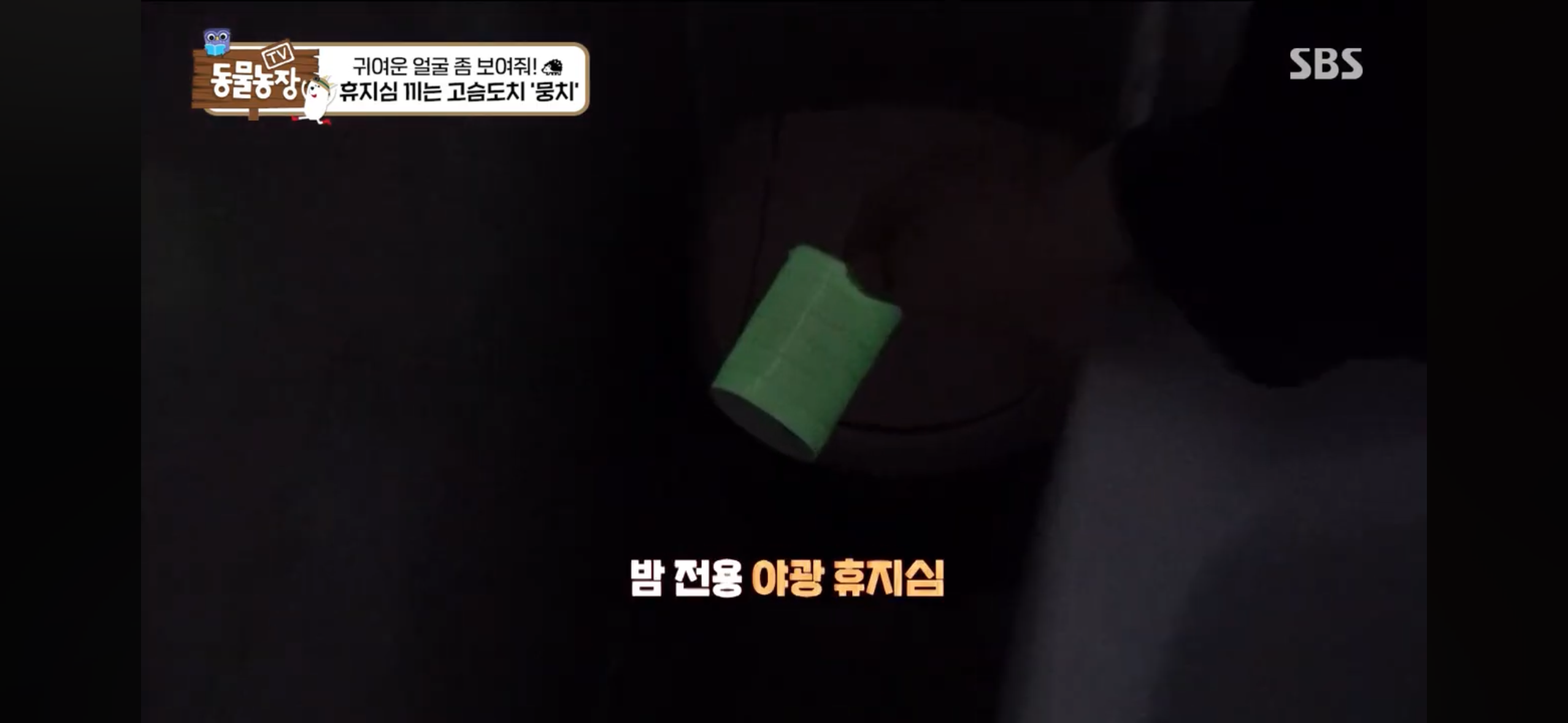 따봉고슴도치 휴지심 좋아도치 | 인스티즈