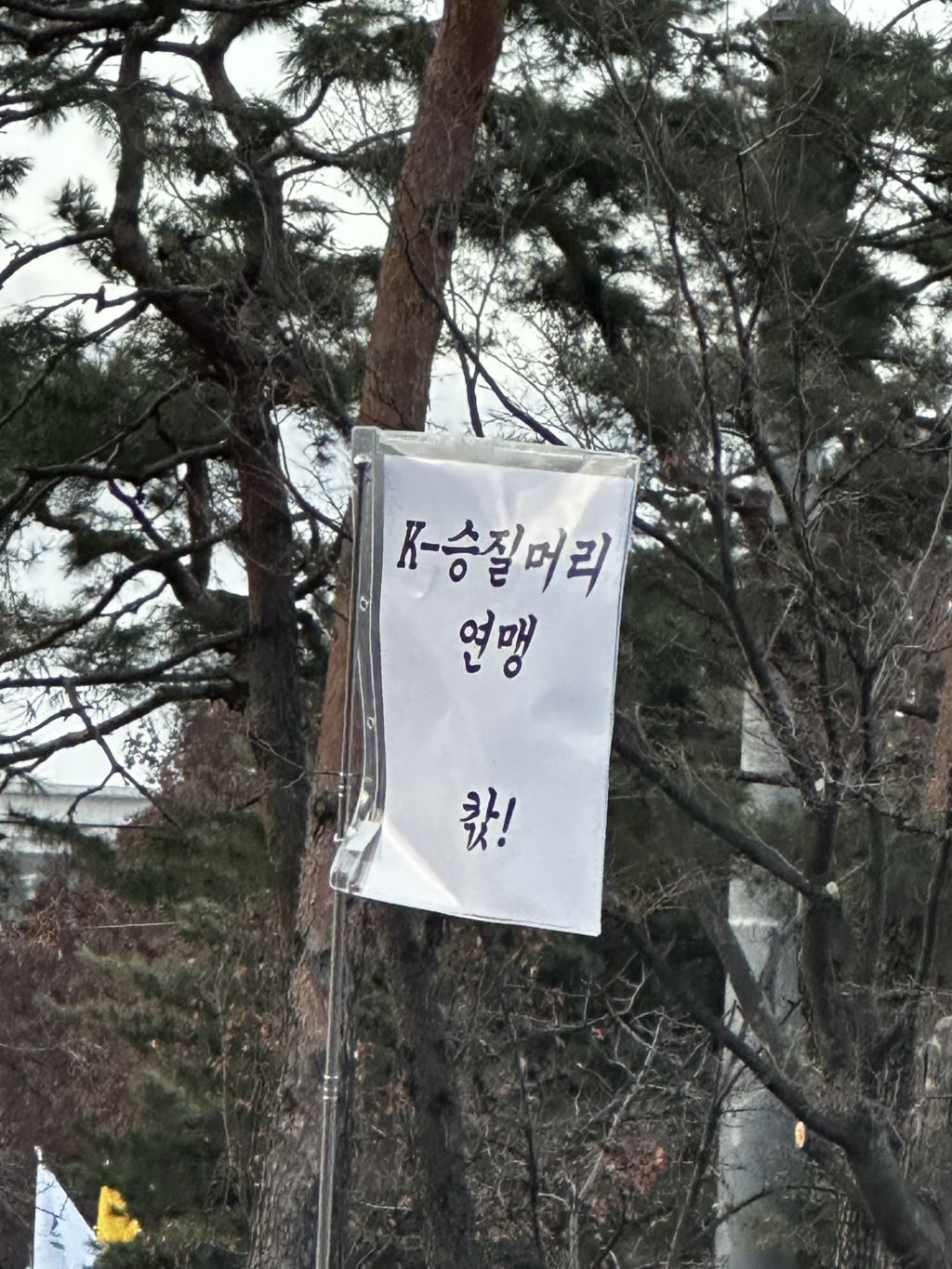탄핵 시위= 대짱잼 깃발 대회 | 인스티즈