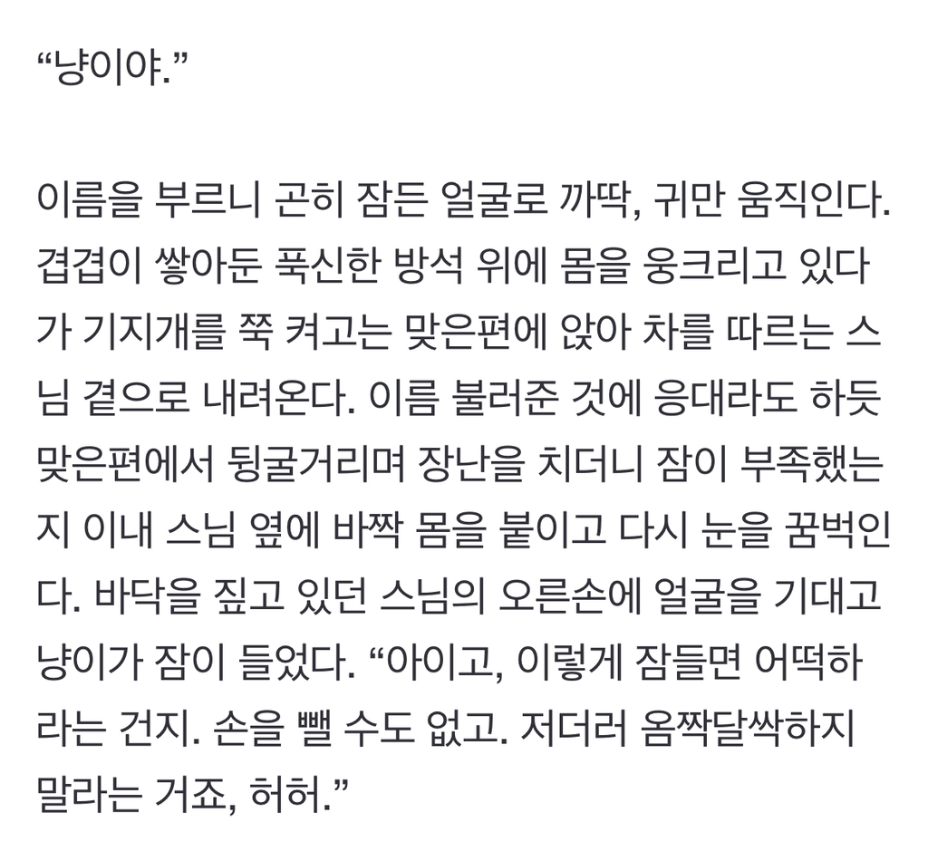 쥐를 선물로 준 냥이…스님은 "살생하지 말거라” | 인스티즈