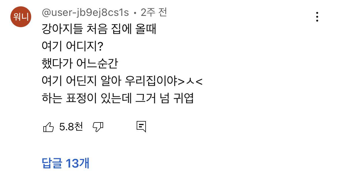 강아지들 처음 입양됐을때 여기 어디지? 하다가 | 인스티즈