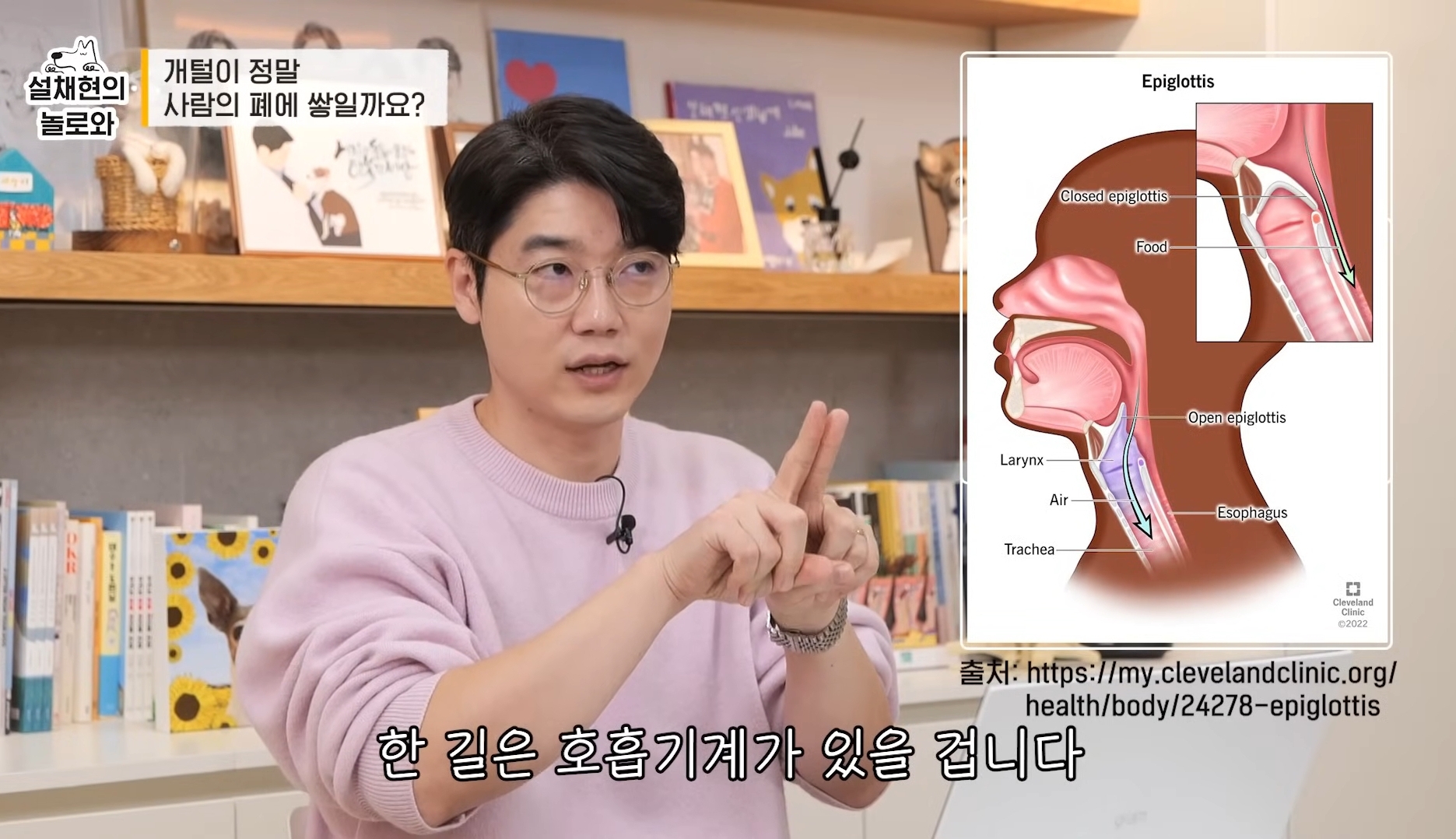 개털이 정말 사람 폐에 쌓일까요? 논란에 대해 말하는 설채현 | 인스티즈