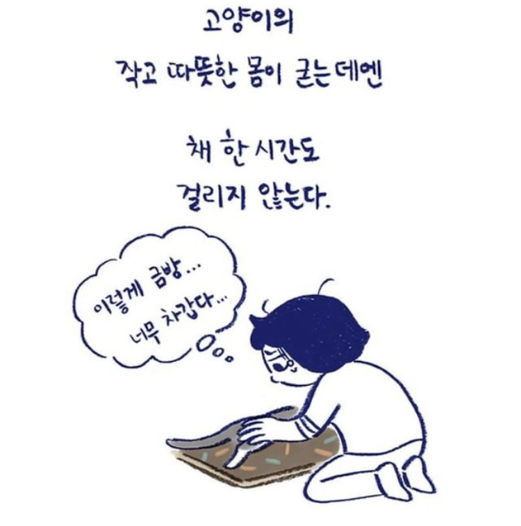 반려동물을 떠나보낸다는 것 | 인스티즈