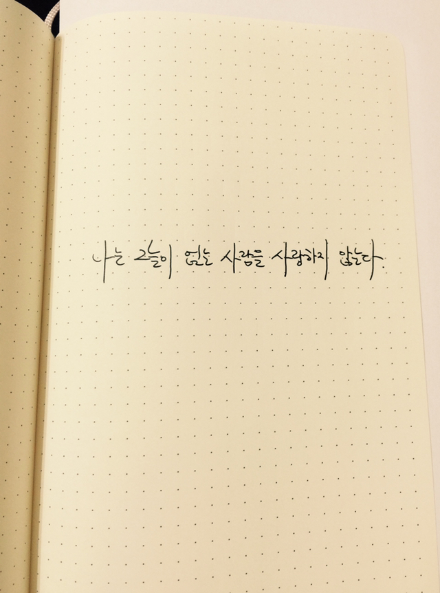 삶은 가질 수도 버릴 수도 없으니 공백 사이의 글이라도 갖겠다 | 인스티즈