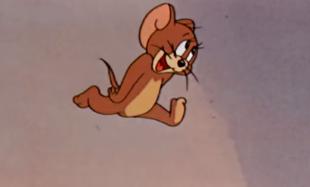 강아지 이름이 제리인이유 | 인스티즈