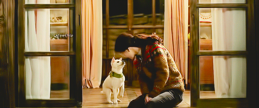 별 내용 없는데 많은 사람들이 인생 영화로 꼽는 영화.gif | 인스티즈