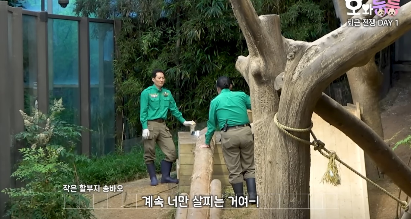 후이바오한텐 루이보다 분유양 적게준다는 송바오 ㅋㅋㅋ | 인스티즈