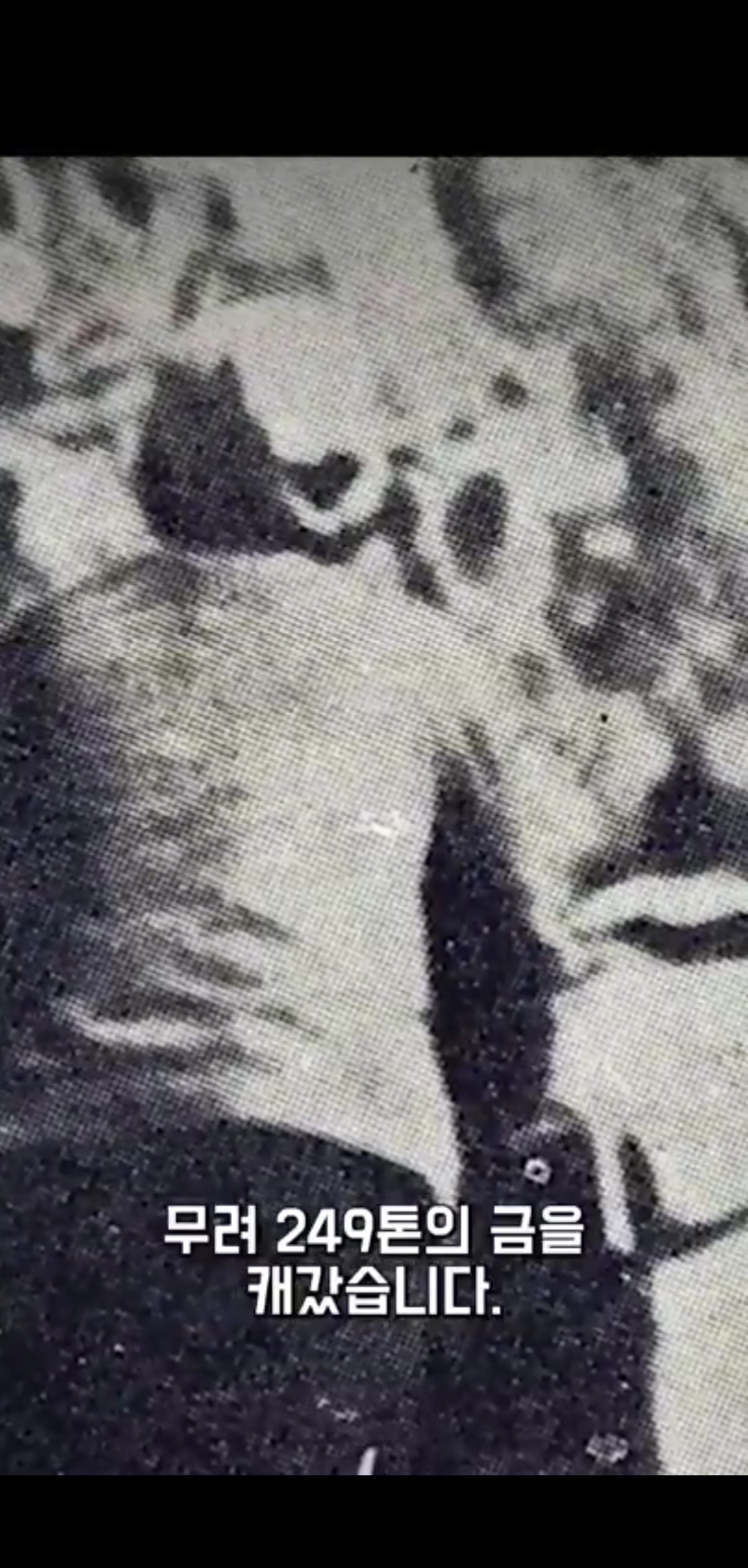 그 많던 신라의 황금들은 어디로 갔을까? | 인스티즈