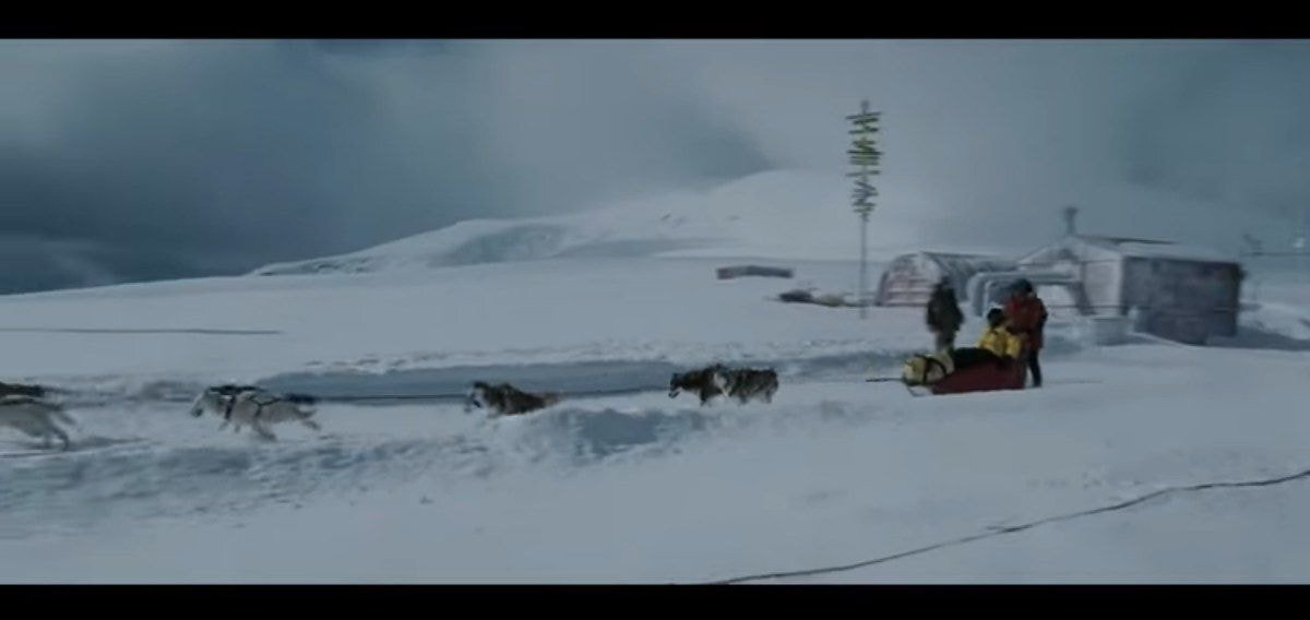 같이 남극 탐험하는 사람이 금방 돌아 온댔는데 폭풍으로 못온대 | 인스티즈