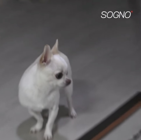 4f0635d63c78bab6a0283b773ab2c5c877eeb01a