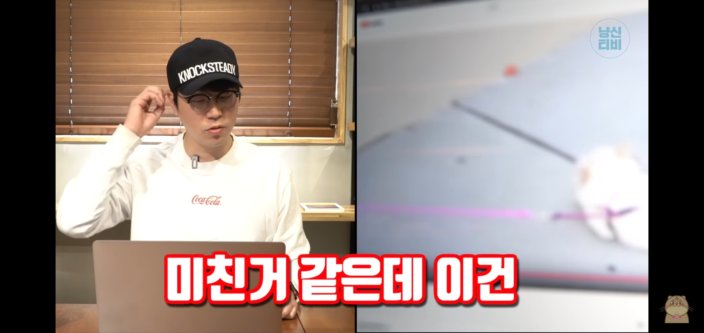 고양이 산책? 하지마!!!!! | 인스티즈