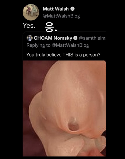 너네 진심 이게 사람이라고 생각해? | 인스티즈