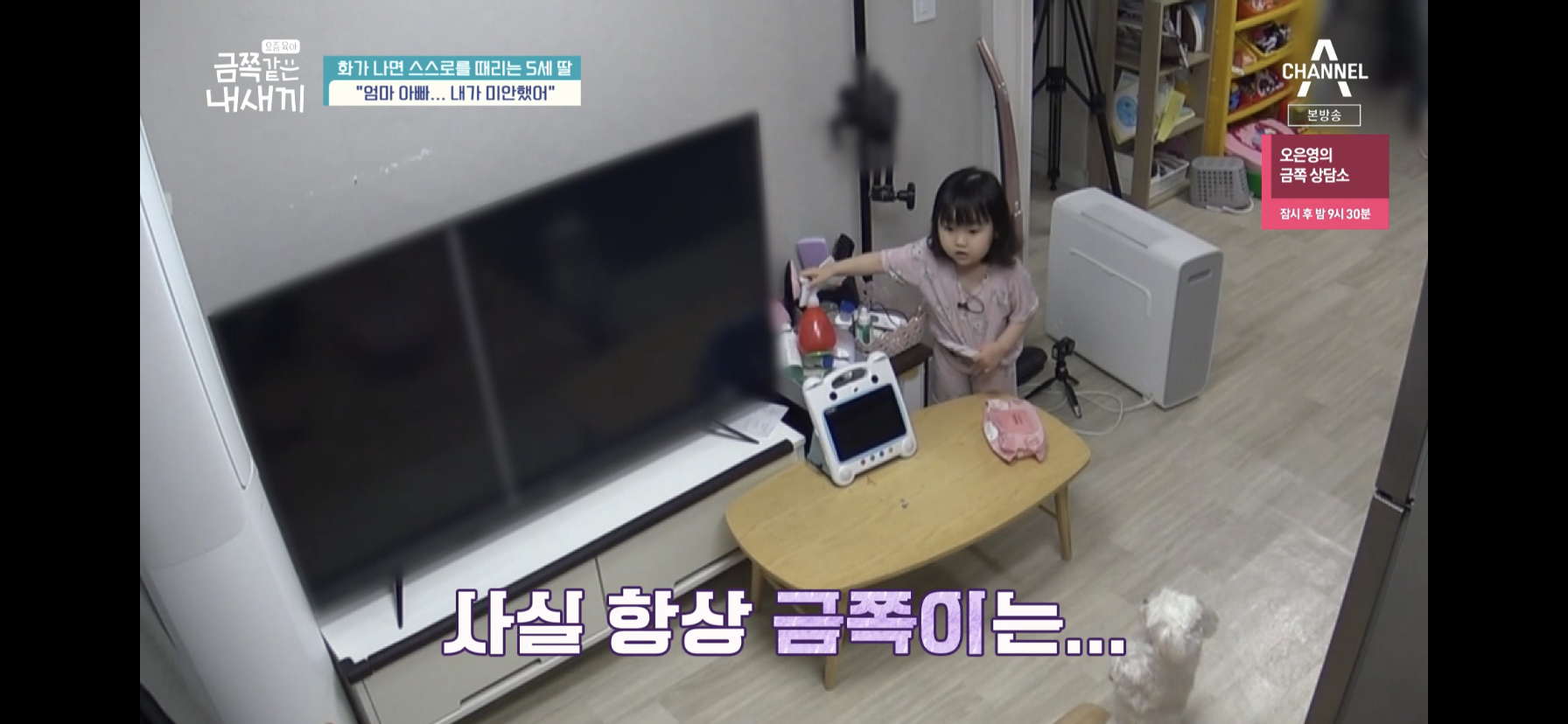 [금쪽같은내새끼] 최초로 아이가 아닌 부모가 금쪽이였던 오늘 편 | 인스티즈