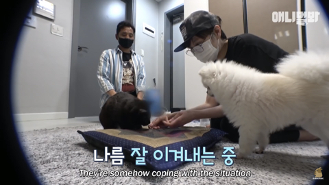 밤낮없이 집 도어락을 누르는 누군가때문에 고민인 부부 | 인스티즈