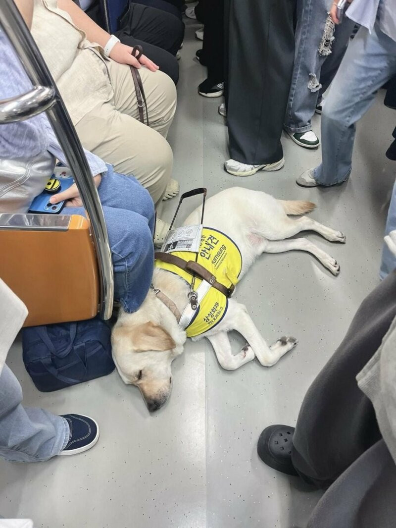 출근길 만원 지하철에서 느꼈던 따스함 ♡ | 인스티즈