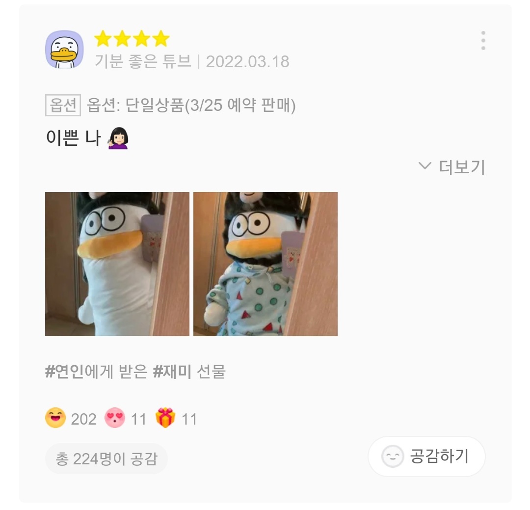 재치있는 오둥이 바디필로우 리뷰들 | 인스티즈