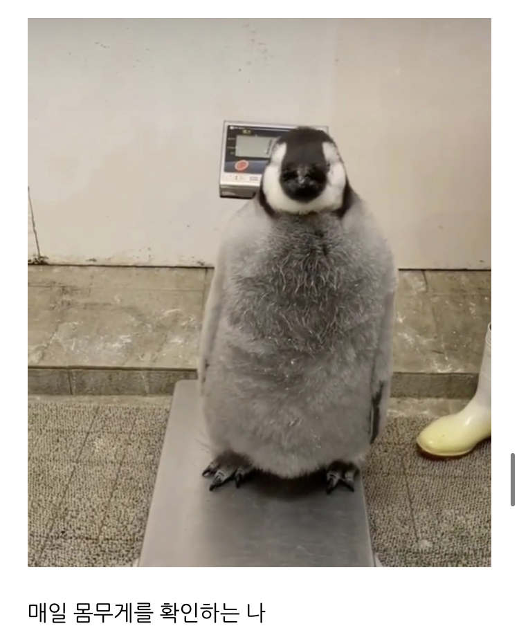 4fecca11a61565ed7b3a8e1454f3e456d33c5401