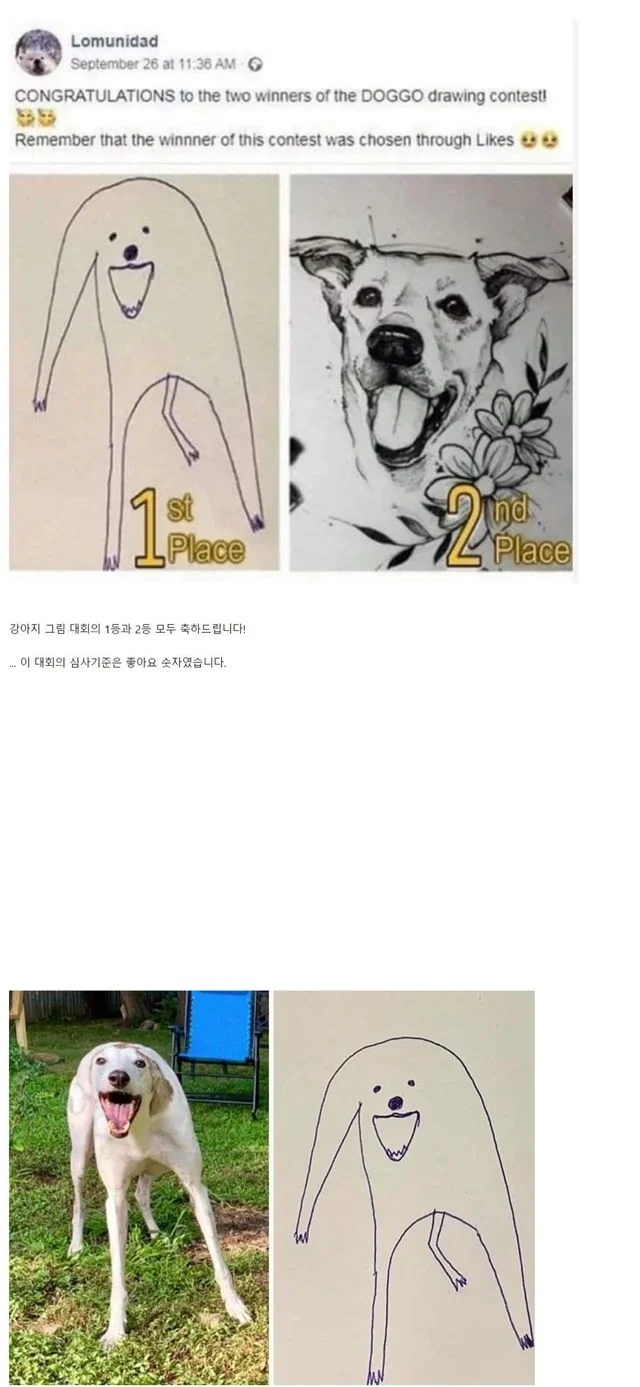 강아지 그리기 대회 1등과 2등 | 인스티즈