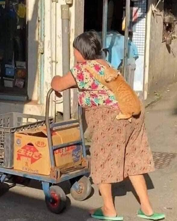 껌딱지네 이미지