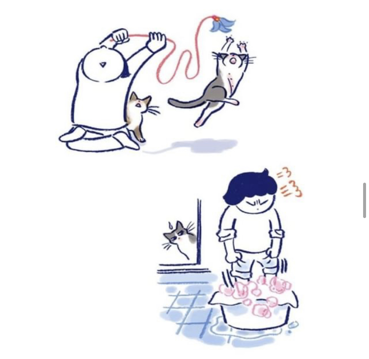 반려동물을 떠나보낸다는 것 | 인스티즈