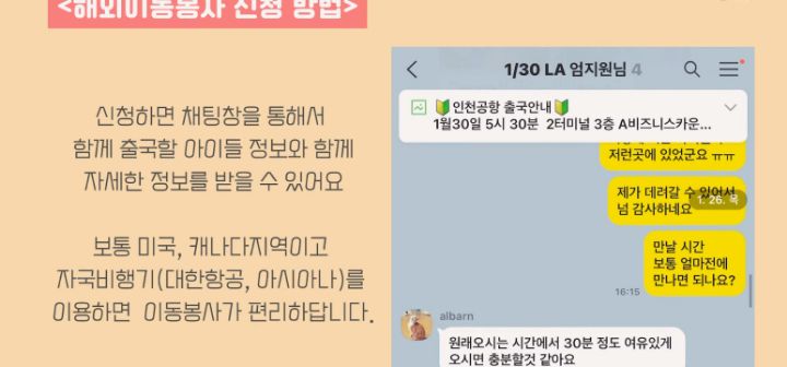 이효리 캐나다체크인보고 유기견 이동봉사 신청한 배우 엄지원 | 인스티즈