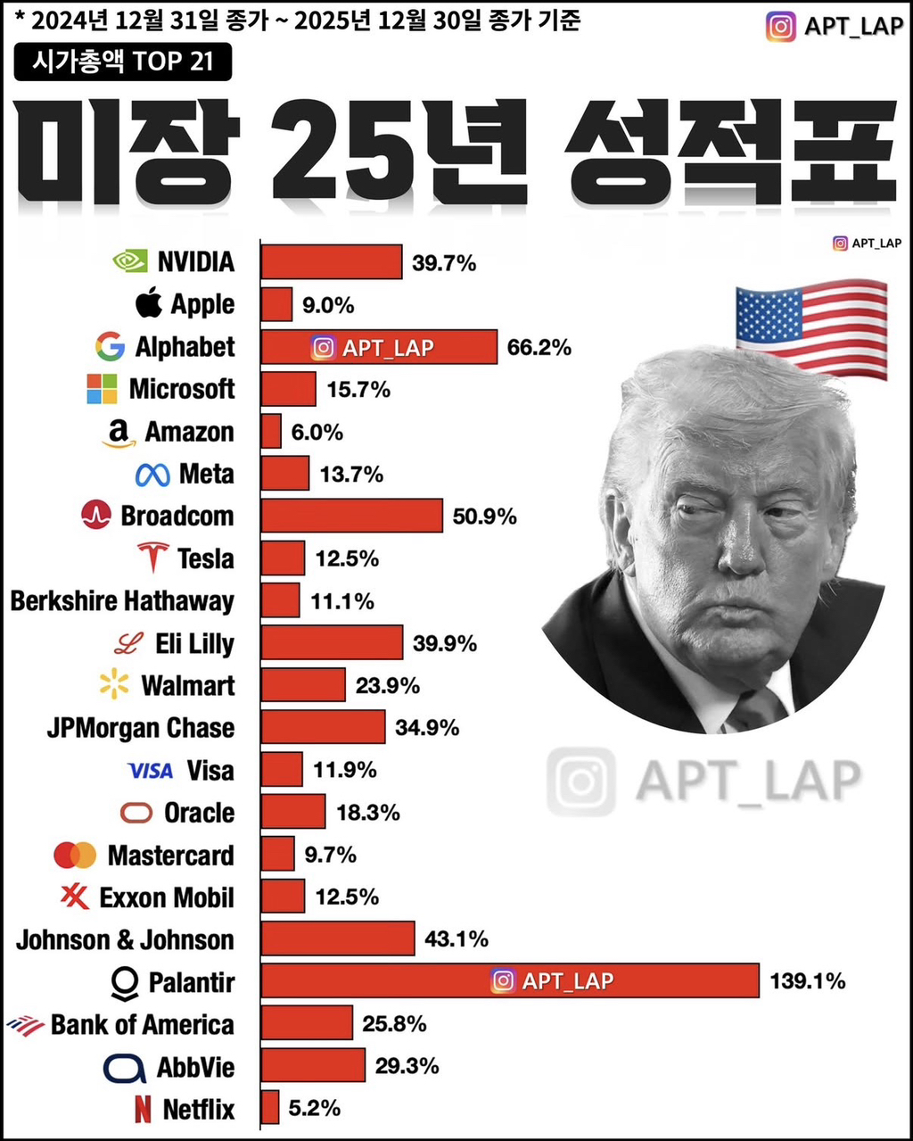 미국주식 시가총액 TOP21 2025년 성적표 - 악플달면 쩌리쩌려버려 - ＊여성시대＊ 차분한 20대들의 알흠다운 공간