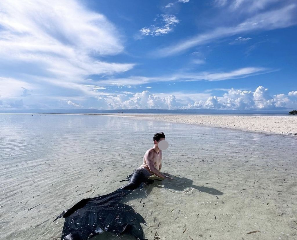 프리다이빙 배우고 넘어간다는 취미 머메이드 다이빙 | 인스티즈