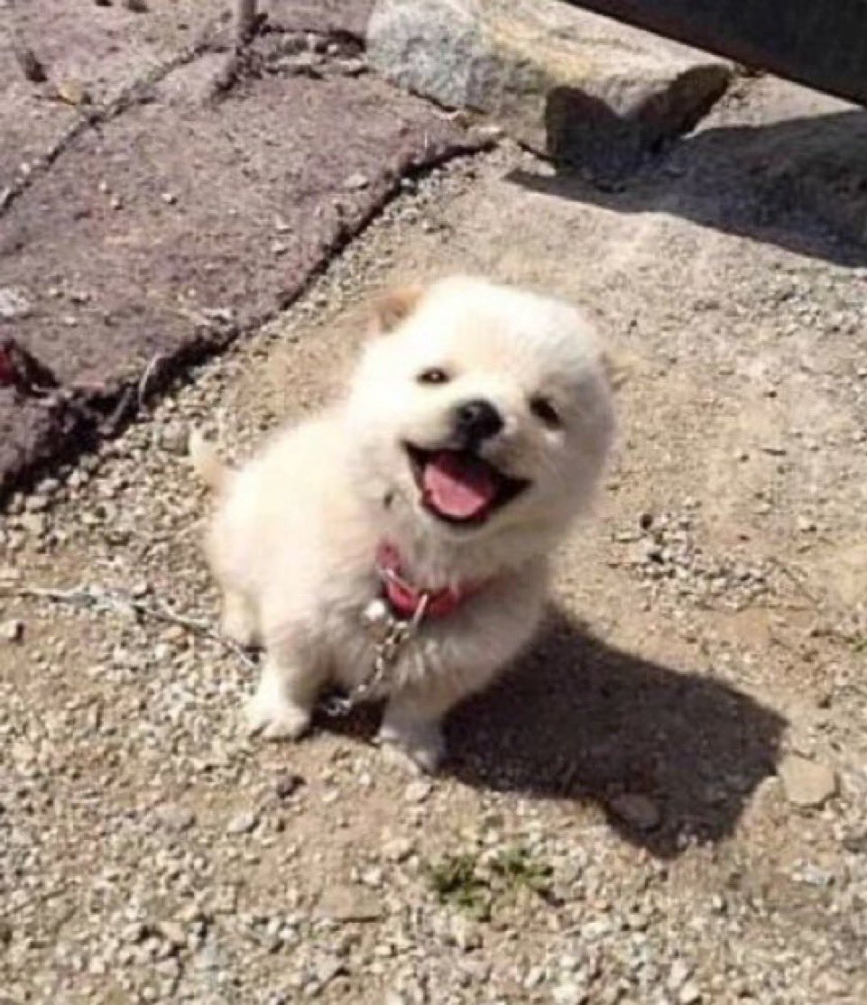 그럼 우울증 환자한테 뭔 말을 해줘야되는 거임 | 인스티즈