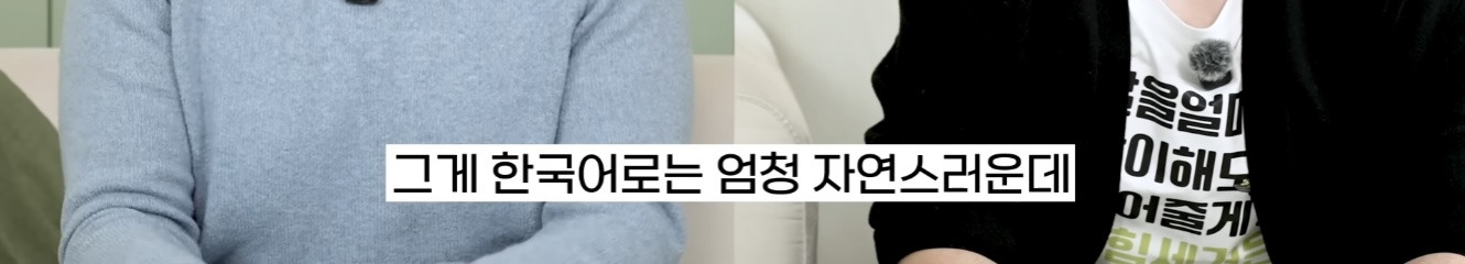 미국인 웹툰 번역가가 느낀 한국어-영어 차이점 | 인스티즈