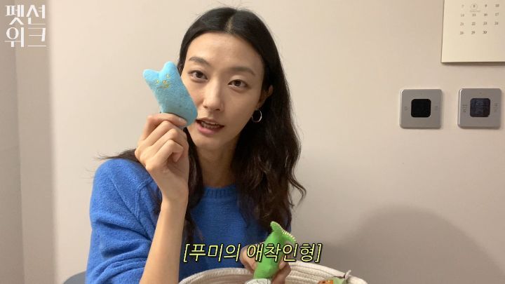 집사들 고양이 장난감 왤케 많이 사는거야 | 인스티즈