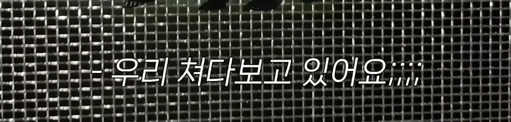 미국 이민갔는데 집에서 곰 나옴… | 인스티즈