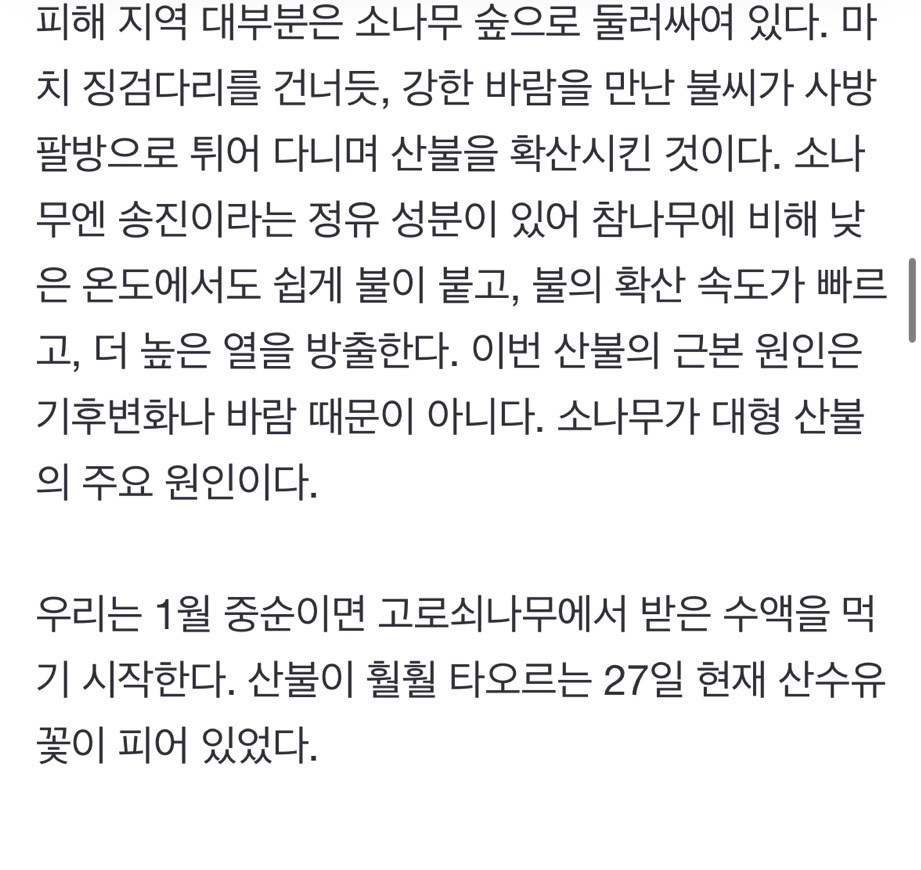 산불 발화지점 가보고 깜짝 놀랐다, 대형산불의 진짜 원인 [최병성 리포트] | 인스티즈