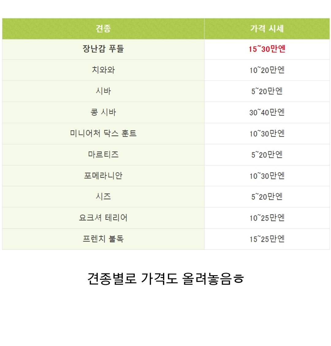 우리나라 펫샵 문화가 어디에서 왔는지 알고 있어? | 인스티즈