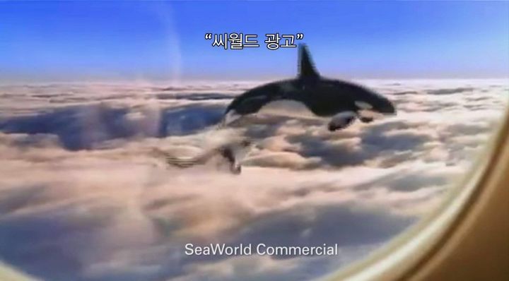 어느날 소방서에 고래가 조련사를 잡아 먹었다는 신고가 들어왔다 .jpg (스압주의) | 인스티즈