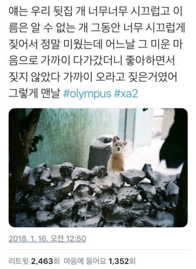 뒷집 이미지