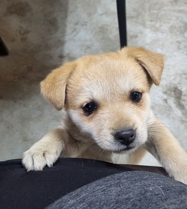 (공지라니... ++추가)새로생긴 회사 복지.. 미쳐서 도저히 일을 못하겠네.. (추가....)++추가 | 인스티즈