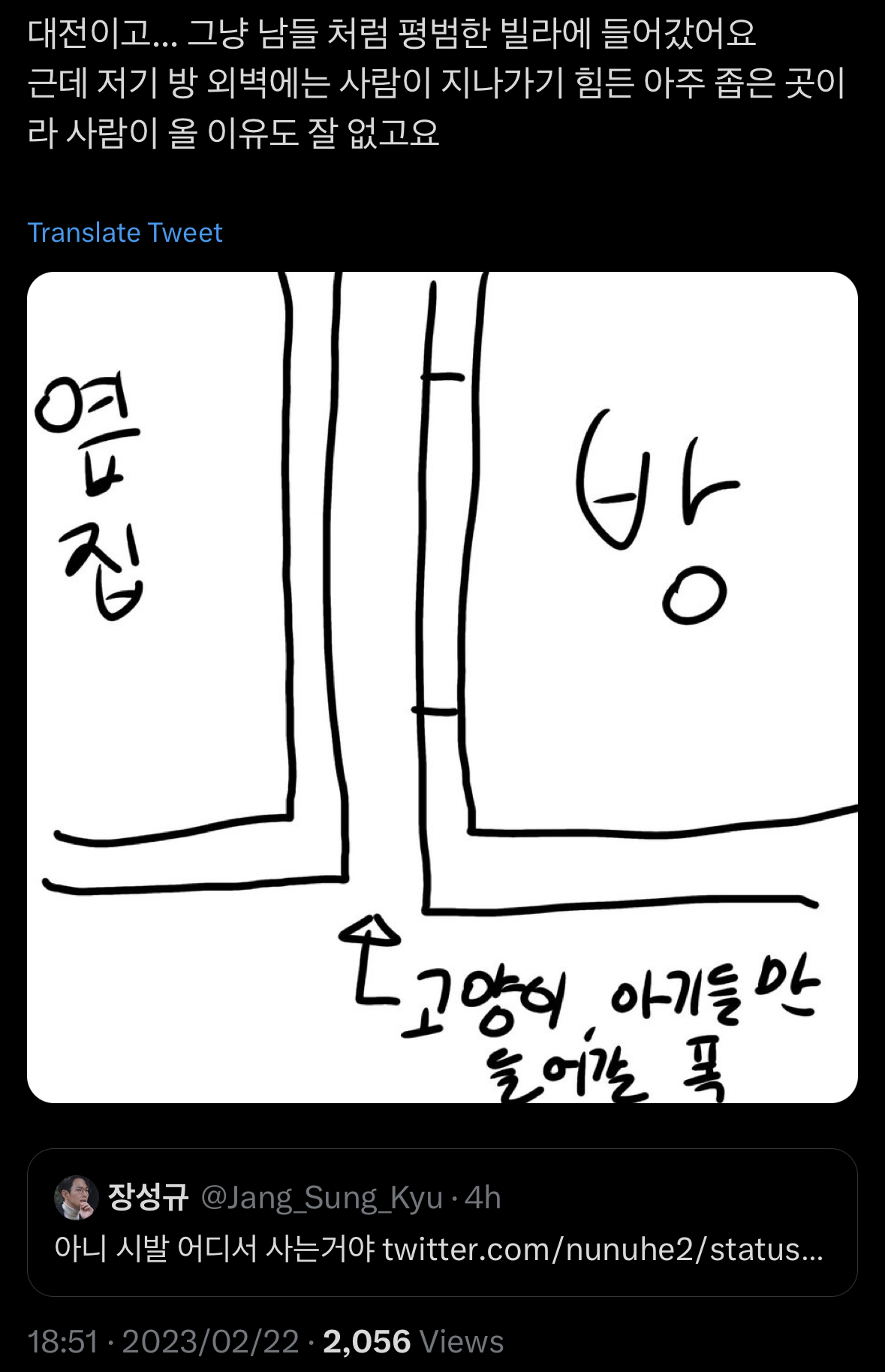 새벽 6시 1층 사는 여자 방 창문.twt | 인스티즈