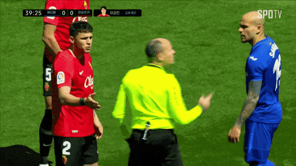 여시하다 본 웃긴 댓글들 | 인스티즈