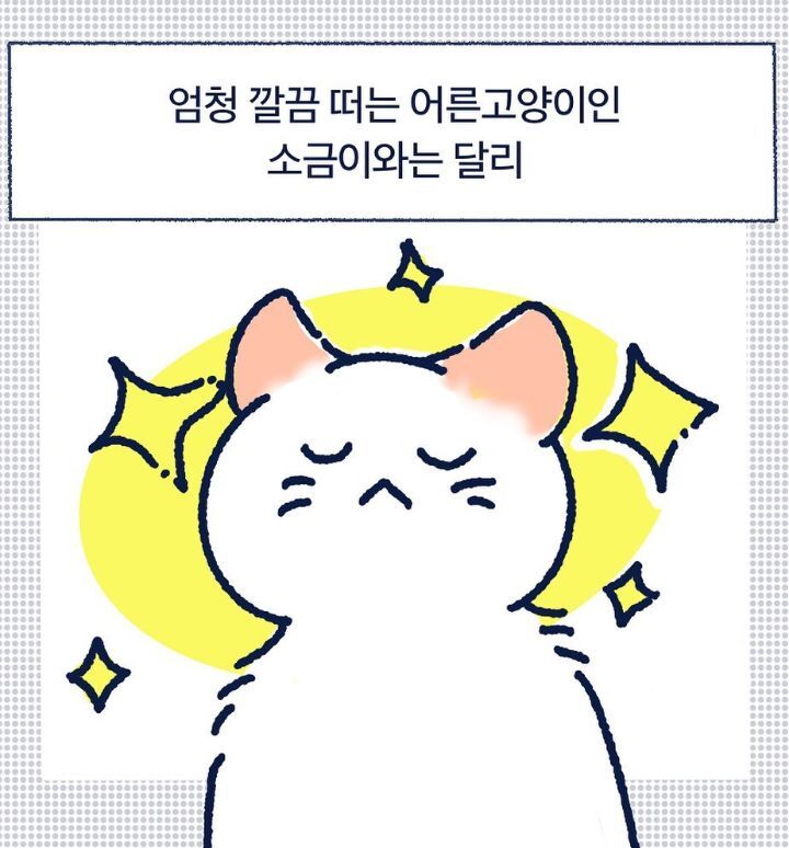 아깽이들은 왜...? | 인스티즈