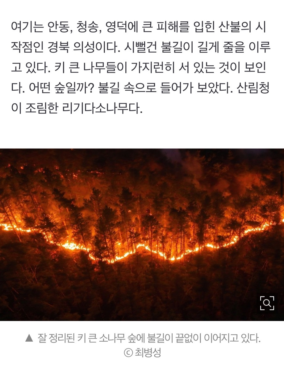 산불 발화지점 가보고 깜짝 놀랐다, 대형산불의 진짜 원인 [최병성 리포트] | 인스티즈